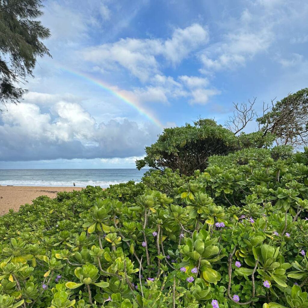 Green bushes with purple flowers and a palm tree with a beach and a rainbow in the distance