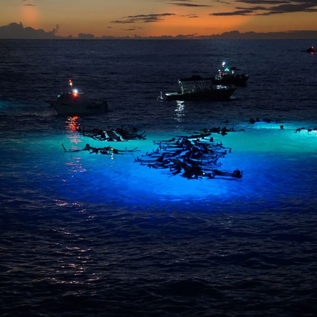 Boats in the water at night with snorkelers that have lights around them