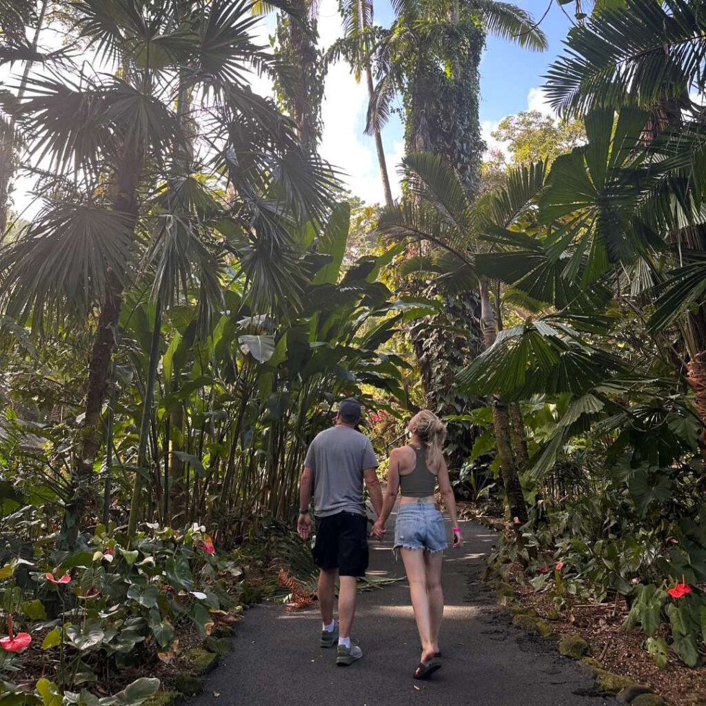 A man and a woman with their backs to the camera holding hands in a tropical forest looking up to the sky.