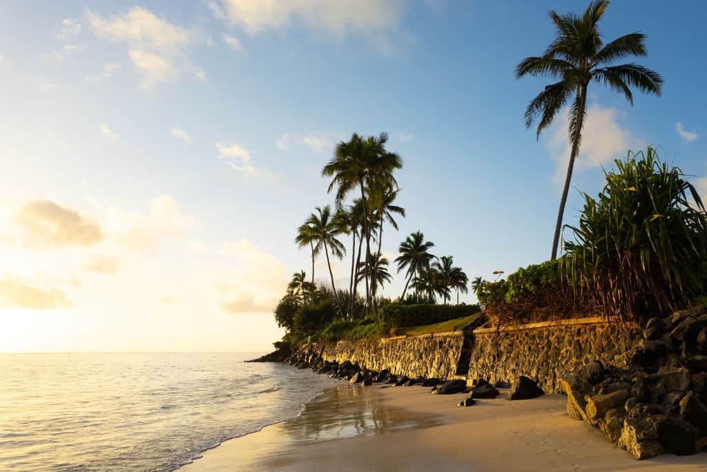 A shoreline with the sun shining in the distance and a stone wall with palm trees on the beach.