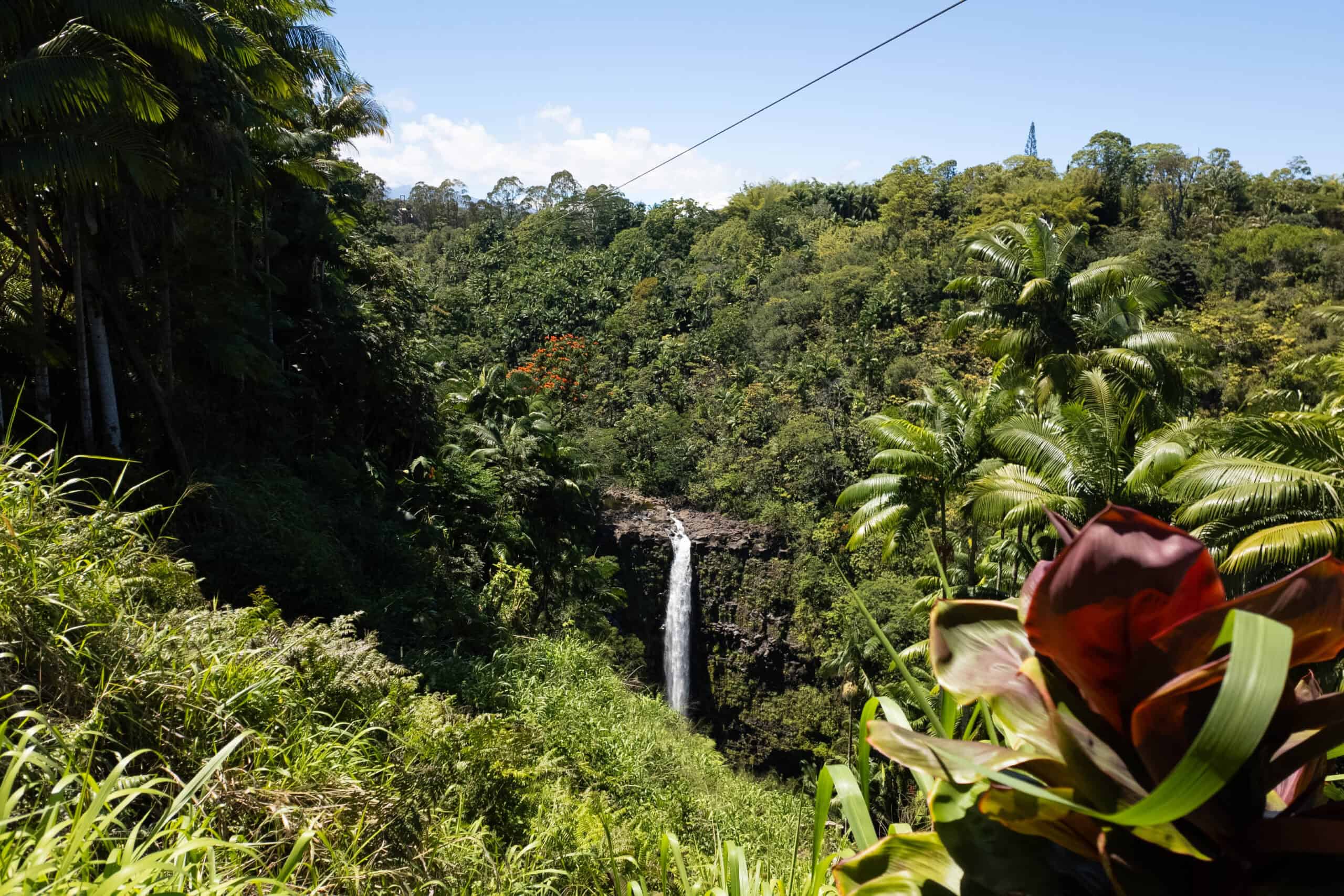 A tall tropical waterfall with ziplines across it