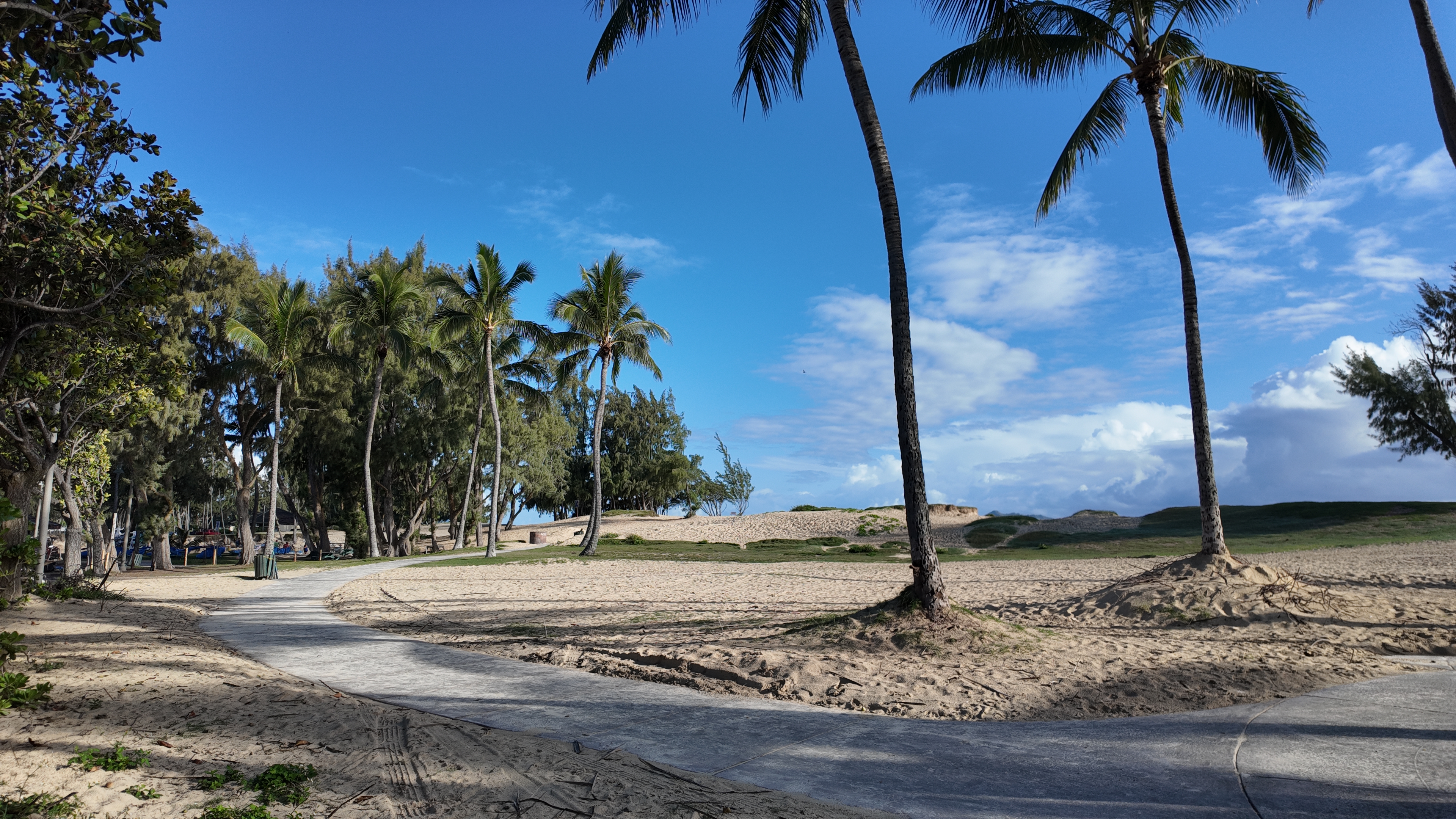 A side walk through sand with palm trees