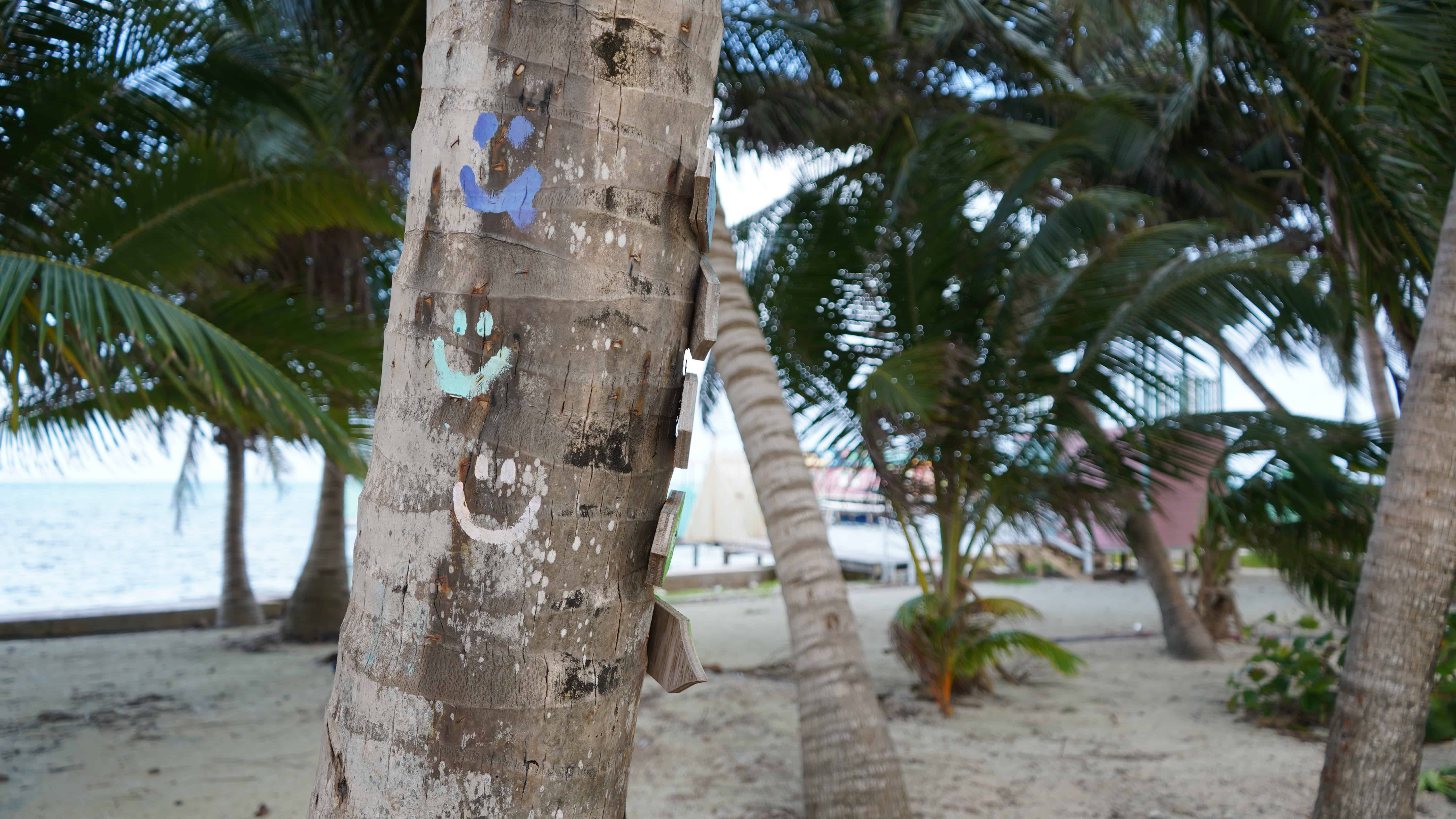 A palm tree trunk with blue, mint and pink smiley faces painted on it