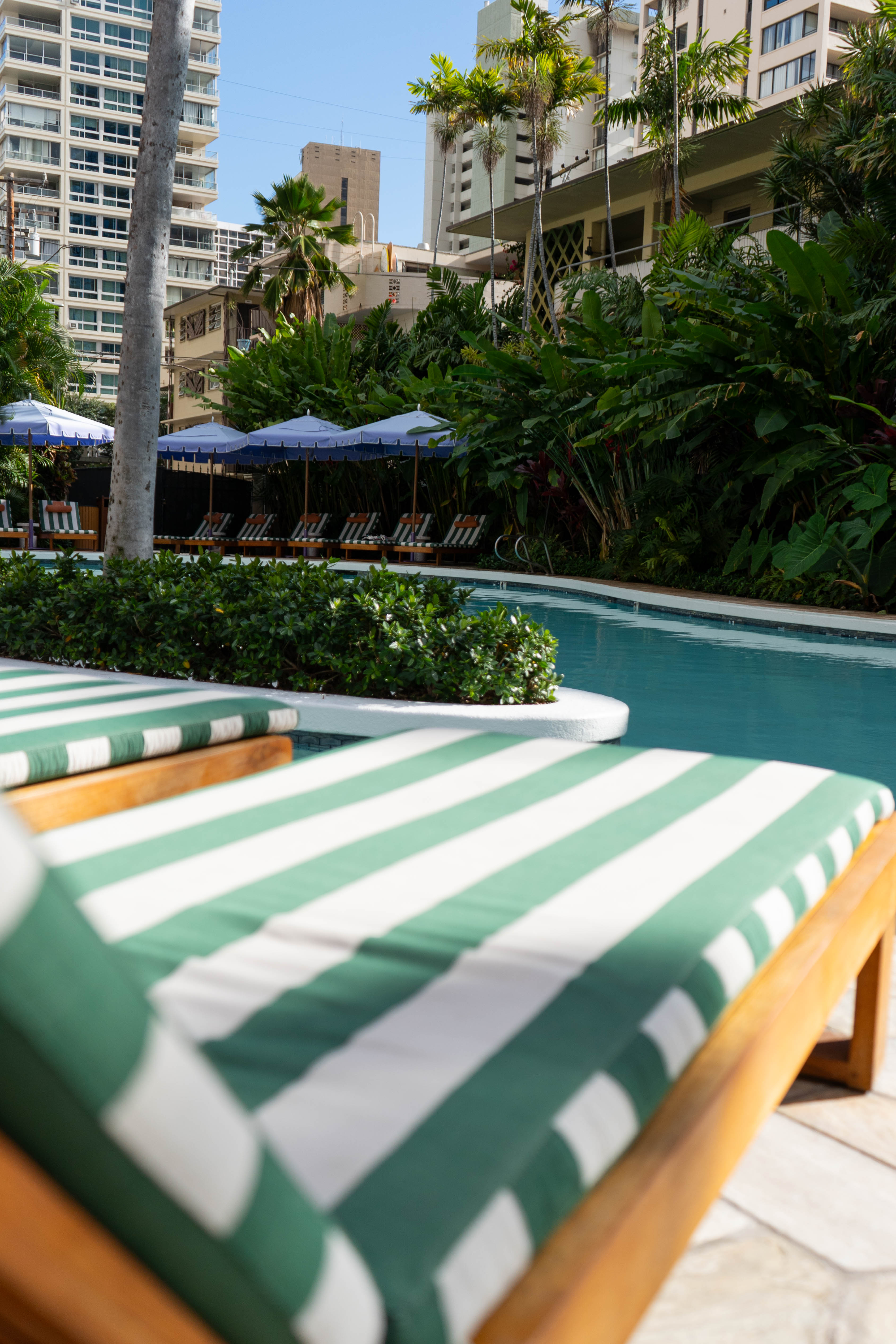 A pool with green and white striped lounge chairs and purple umbrellas in the distance