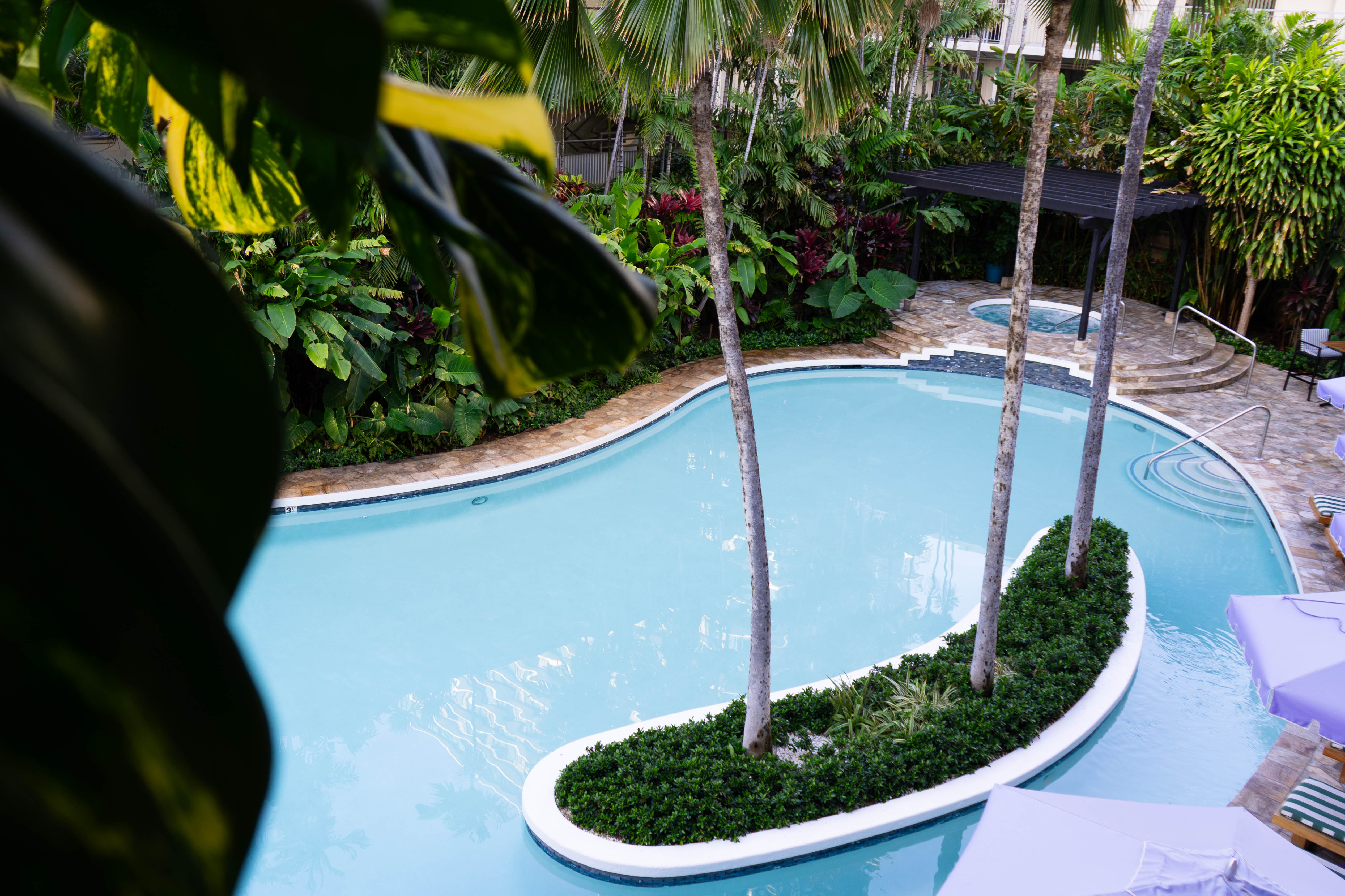 An overhead shot of a blue pool surrounded by tropical trees and plants