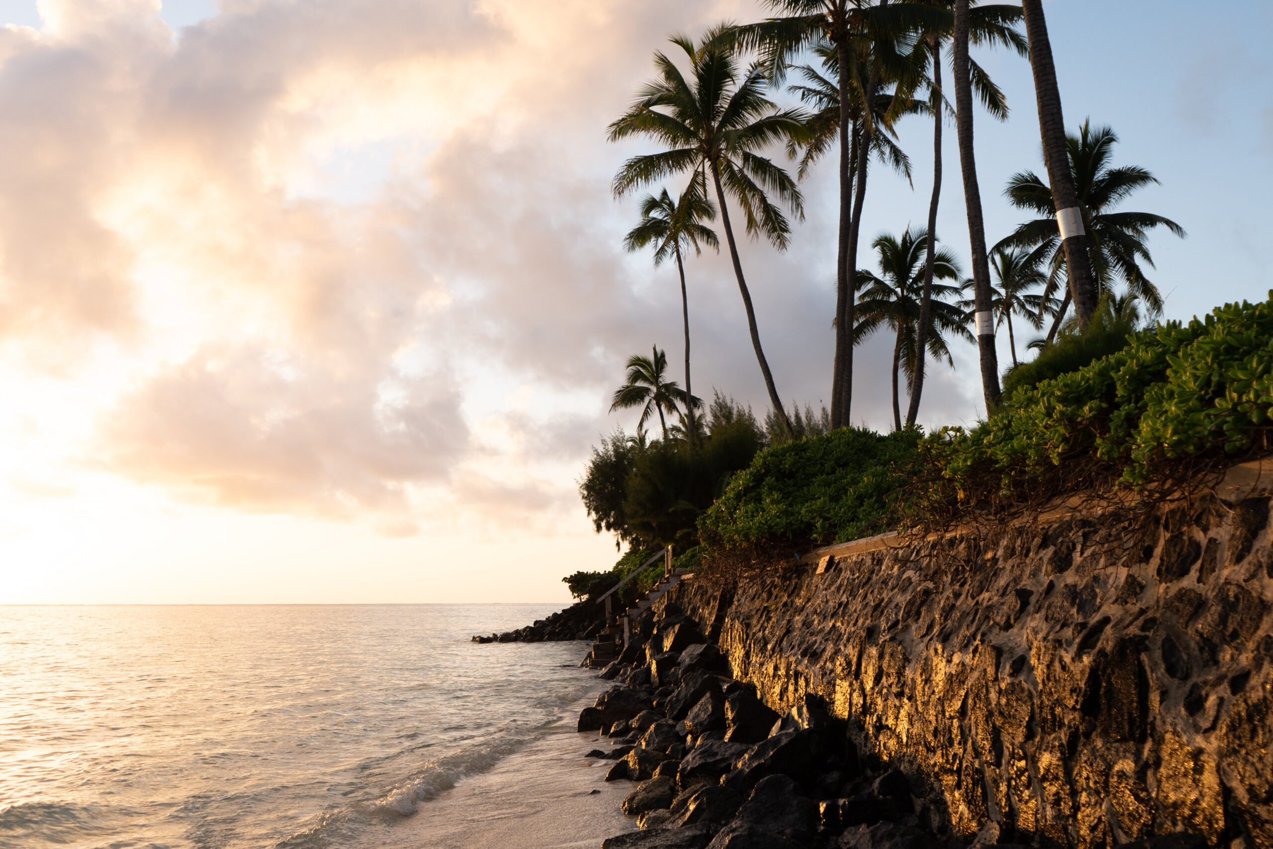 A rocky coastline with cloudy pastel sky, a stone wall and palm trees.