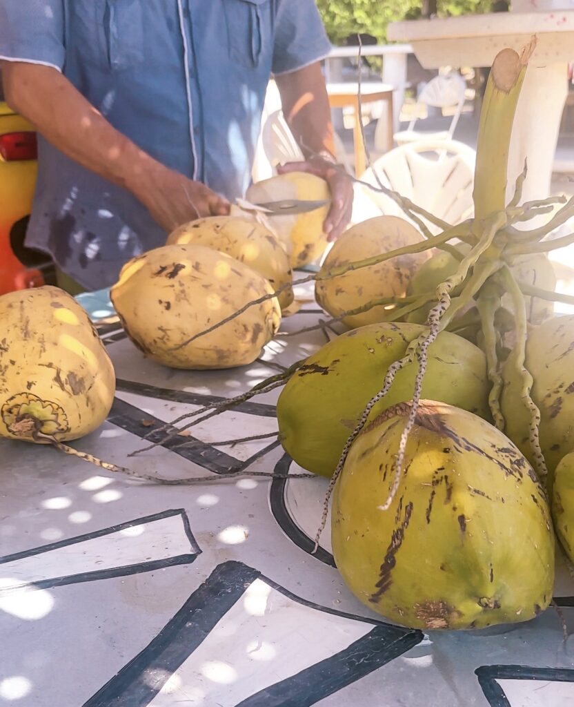coconuts-being-cut-for-drinks