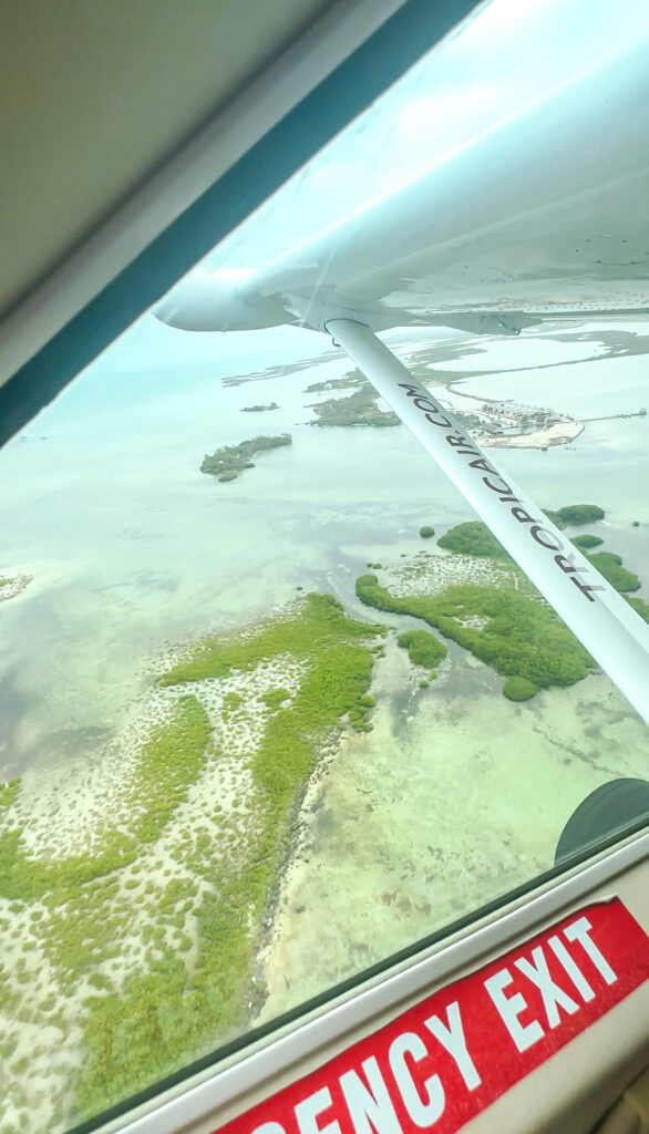 tropical-view-of-belize-palm-trees-and-ocean-from-puddle-jumper-airplane-makes-getting-around-belize-simple