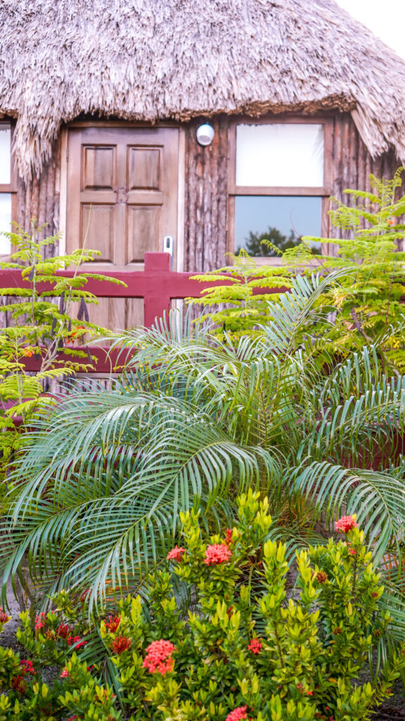 thatch-roof-cabana-at-caye-caulker-resort-el-ben-cabanas